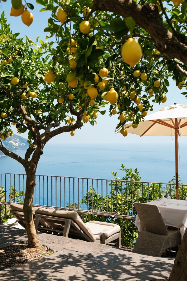 A lemon grove terrace, from the Volume Two Coastal Village pack